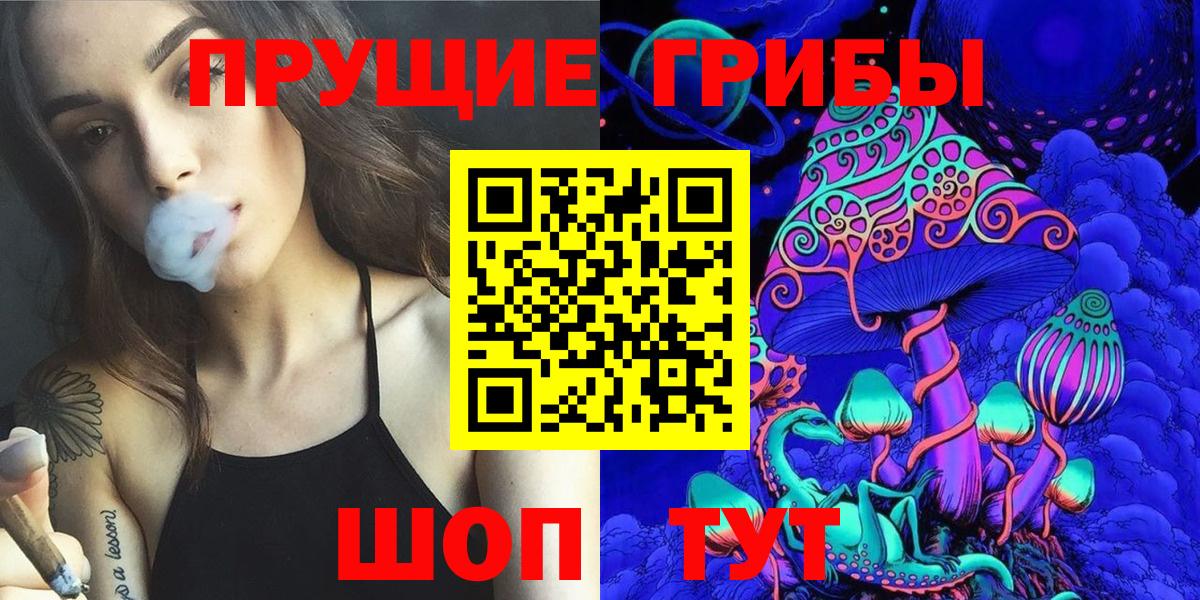 Псилоцибиновые грибы мицелий Брянск
