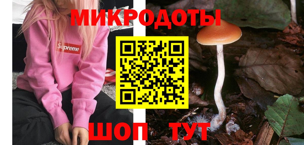 Галлюциногенные грибы Psilocybine cubensis  Галлюциногенные грибы ЛСД  Брянск  Вход с VPN 